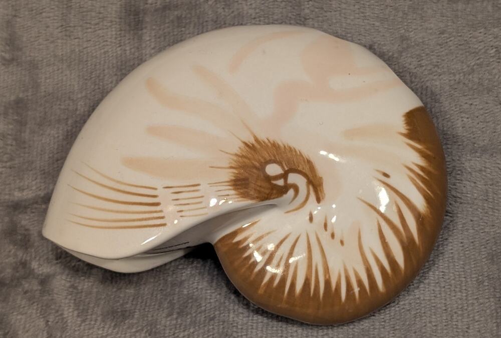 Toothbrush Holder Nautilus Seashell Shaped Bathroom Better Homes And Gardens